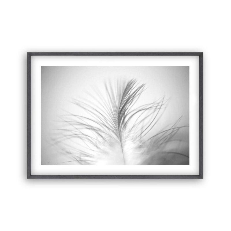 Print, Black Oak Frame, 31 cm H x 41 cm W x 2.5 cm D