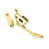 Polished Brass