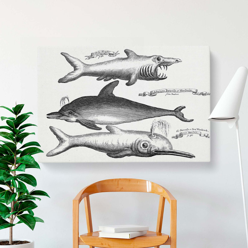 Shark and Dolphins by Thomas Astley - Wrapped Canvas Drawing - Wrapped Canvas, 50cm H x 76cm W x 3cm D