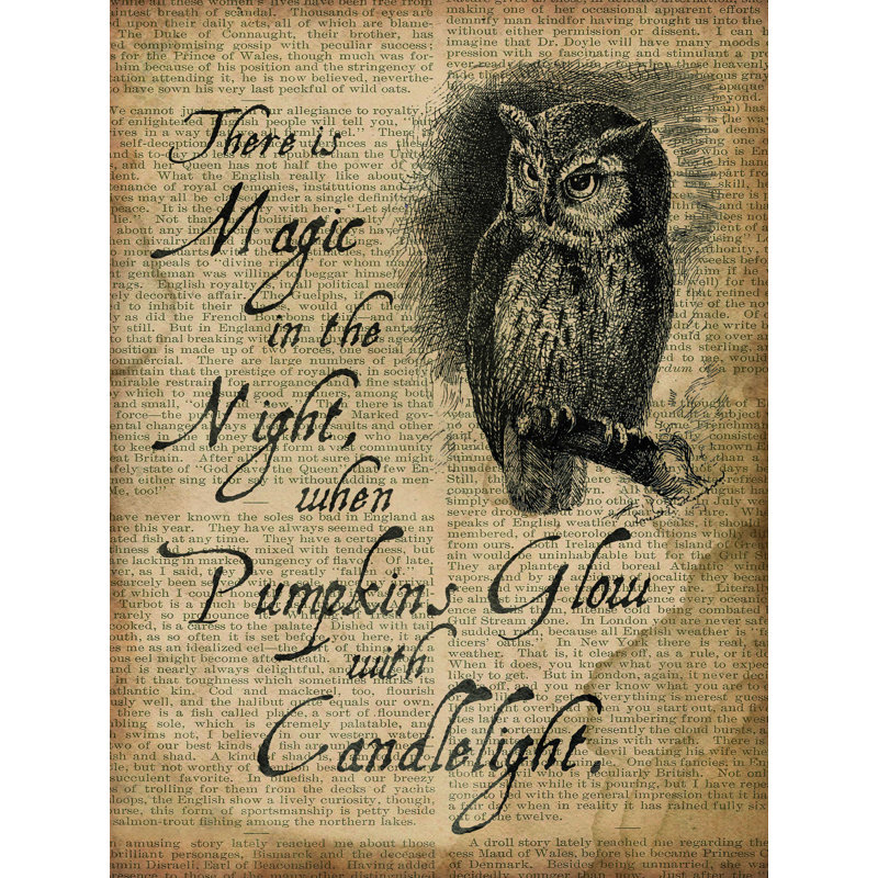 Candlelight Owl - Impression sur toile tendue, H 16 po x l 12 po