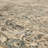 Divina Oriental Indoor Rug-92257231