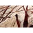 Artresha Abstract Indoor Rug-1636066685