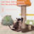 44"Whimsical Mushroom Cat Tree With Scratching Post And Cat Condo