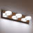 21 in. 3 Light Chrome LED Vanity Light Bar with Dimmable 5500K Light