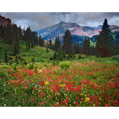 Posterazzi " USA Colorado LaPlata Mountains Wildflowers In Mountain Meadow " by Dennis Flaherty