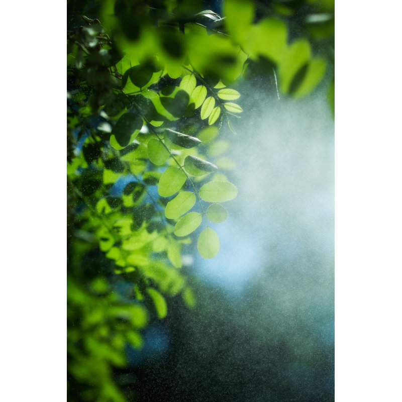 «Leaves in a Rainy Day» par Pixedeli, H 12 po x l 8 po