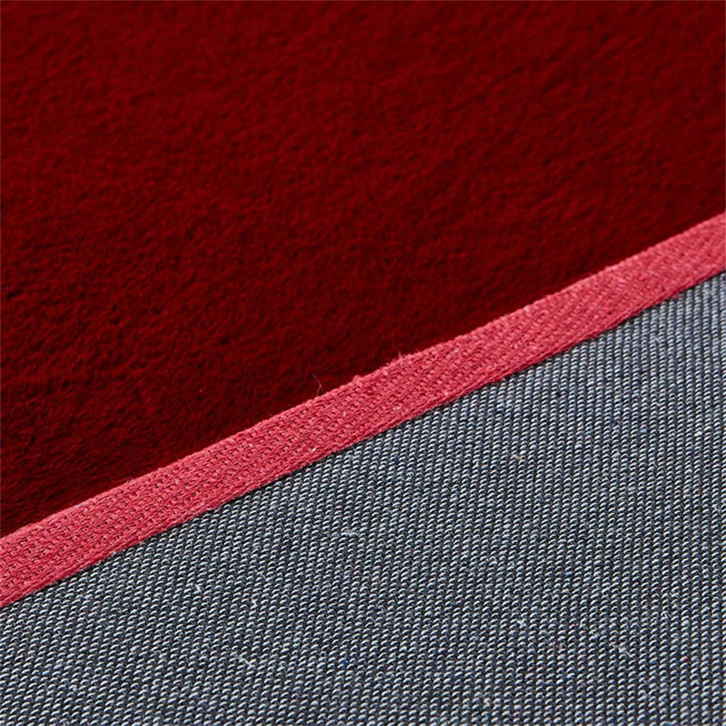 Indoor Rug