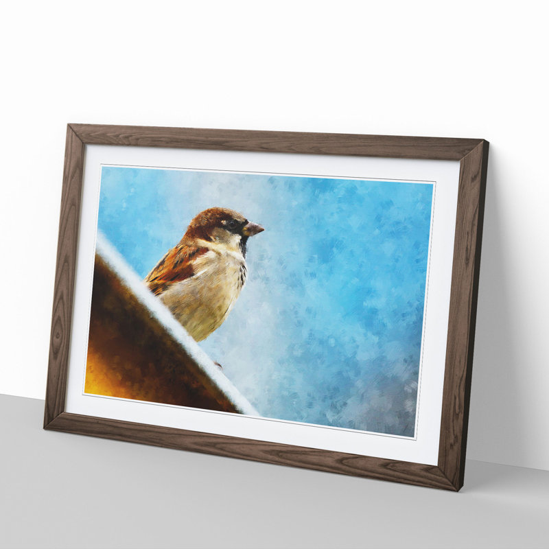 Sparrow Bird Vol.2 - Picture Frame Graphic Art, Walnut, 27cm H x 36cm W x 2cm D