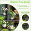 Plant Stand