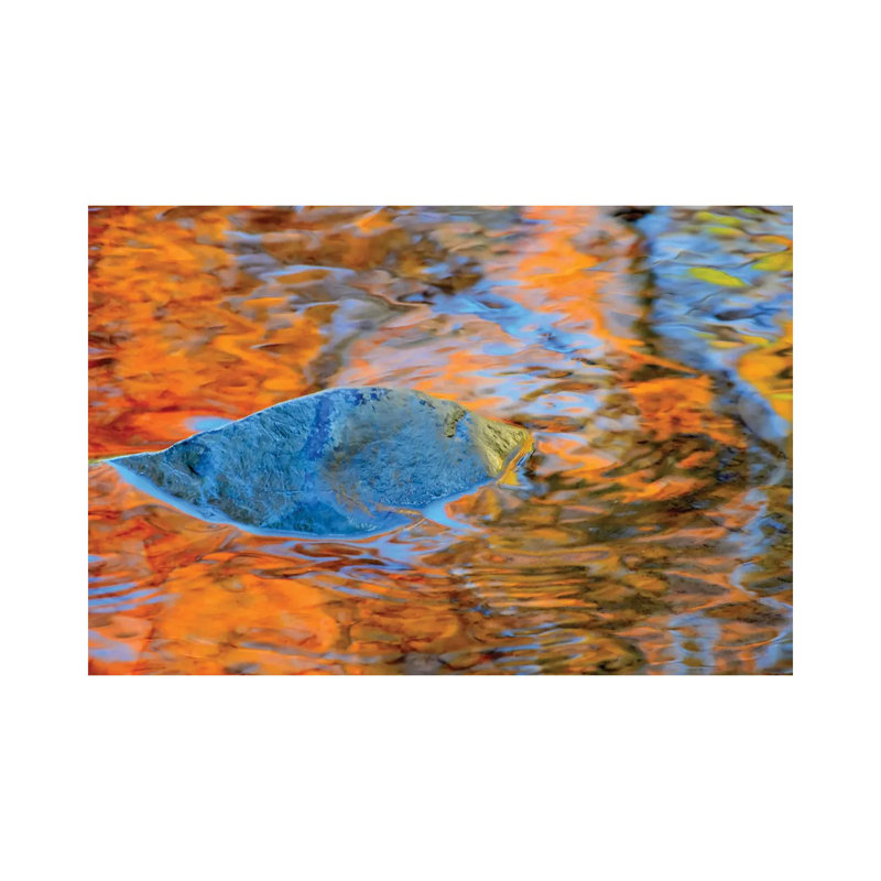 Iris 1 Piece Wrapped Canvas Wall Art, 66.04 cm H x 45.72 cm W x 1.91 cm D
