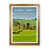 Brown Framed