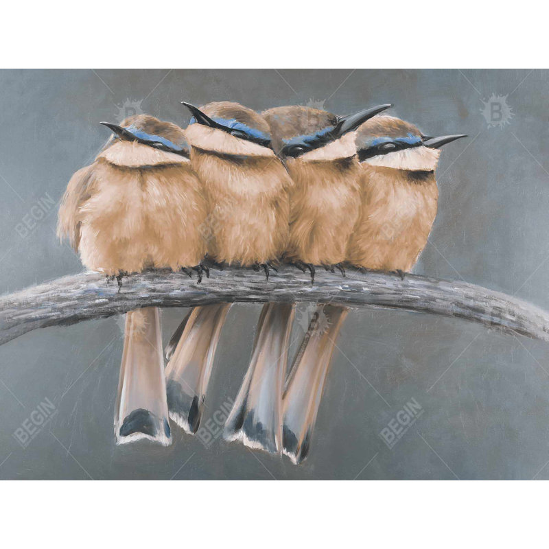 Four Birds on a Branch - Exotic Bird Canvas Home Decor
