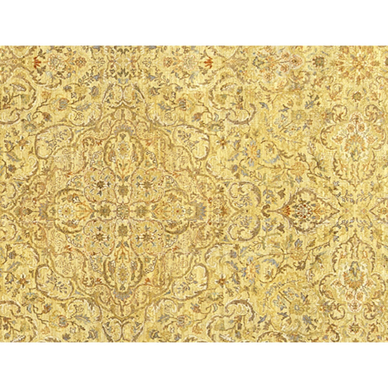 Hand Knotted Wool Area Rug in Gold And Ivory