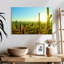 Cactus Harnek Sunny Arizona-107719363