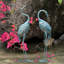 Bird Crane Metal Garden Statue