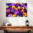 Pansy Colors