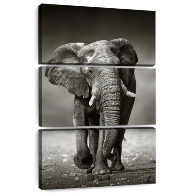 Brampt Namibian Elephant