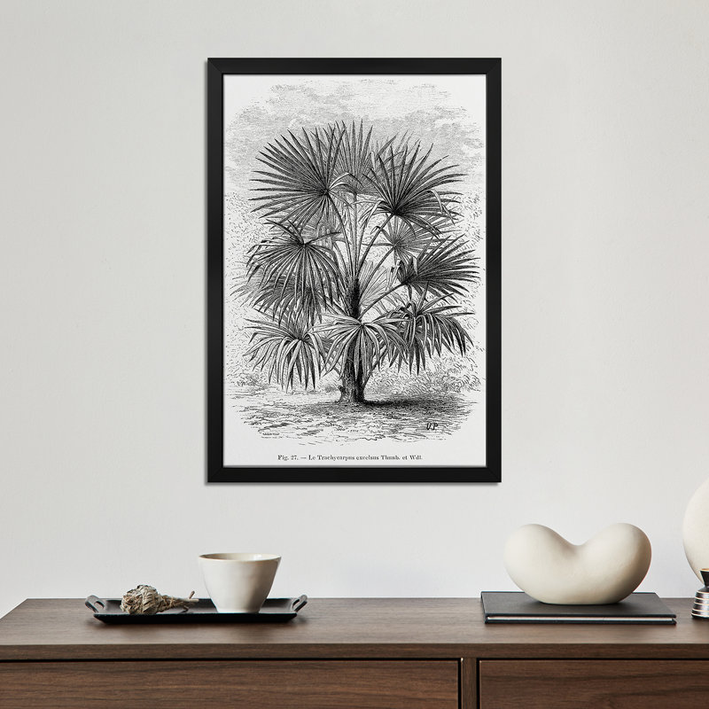 «Vintage Palm Tree Dessin» - reproduction d'art murale - affiche de galerie, H 32 po x l 24 po