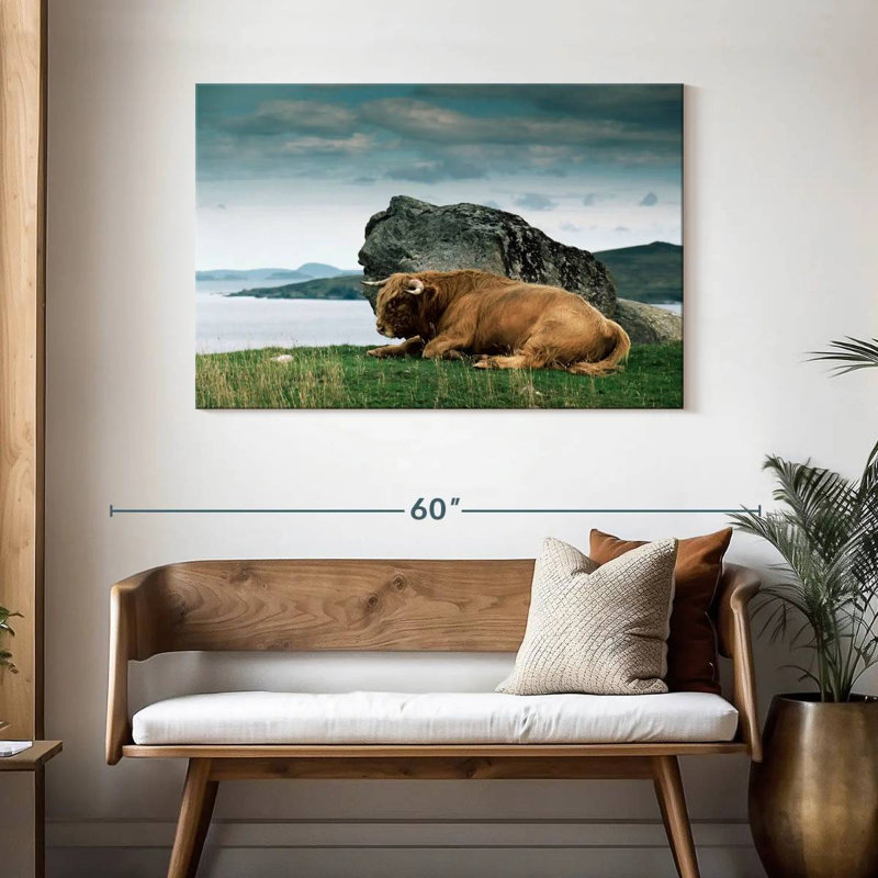 Brampt Highlander Bull, 30" H x 45" W