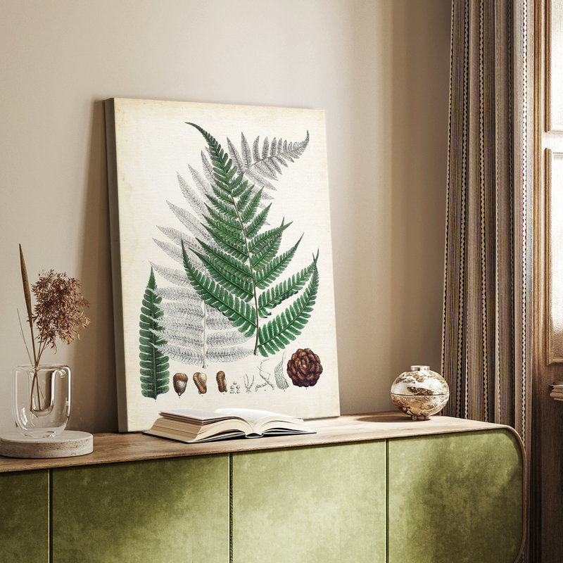 Collectionner Ferns II - galerie sur mesure