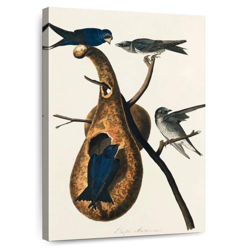 Keiri Purple Martin, 36" H x 24" W
