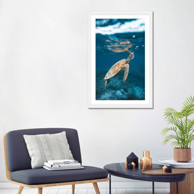 " Great Barrier Reef Turtle Underwater " by James Vodicka