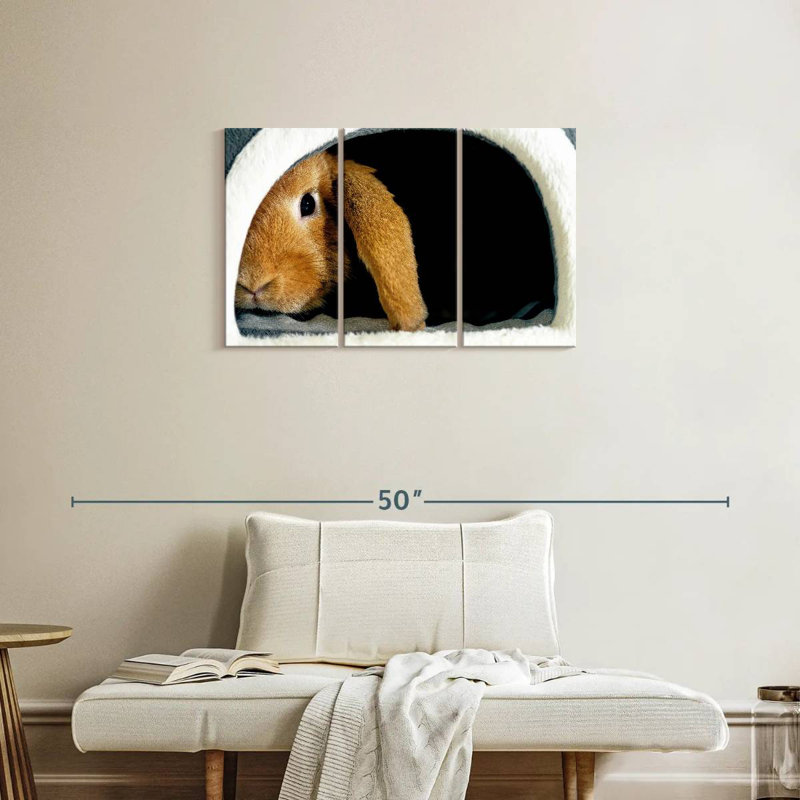Brampt Rabbit Home, 20" H x 33" W