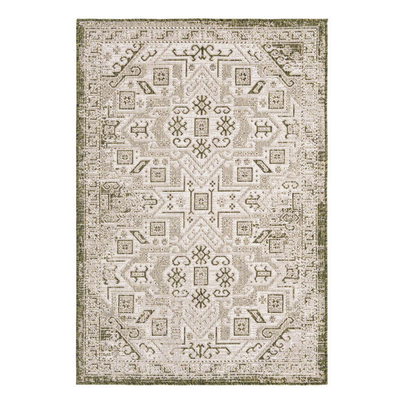 Alvenia Indoor / Outdoor Rug, Rectangle 4' x 6'