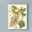« botanique imaginaire iii », reproduction d’impression sur toile tendue-33521507