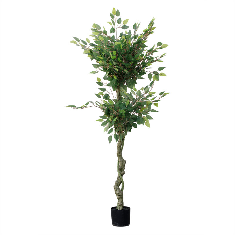 Artificial Ficus Tree In Pot