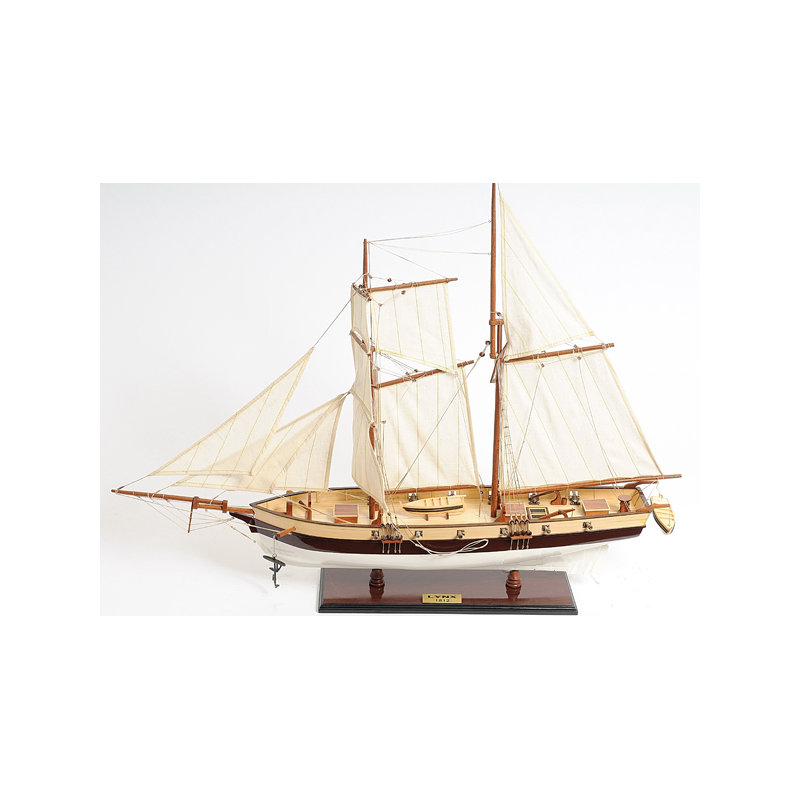 Bateau peint en modèle lynx