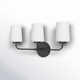 Fitz 3 Light Frosted Dimmable Vanity Light
