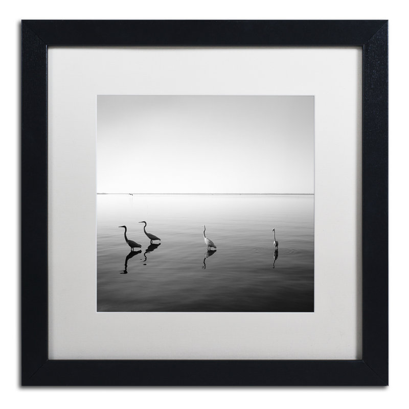 4 hérons-reproduction de photo sur toile encadrée, H 16 po x l 16 po x P 0,75 po