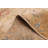 Jules Serapi Ivory Rug 10'0" x 13'10"