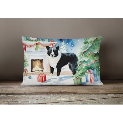 Other/No Pattern Outdoor Throw Pillow