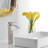 Single-handle Bathroom Faucet with Drain Assembly-72521010