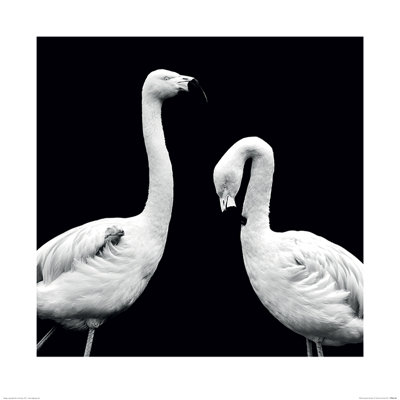 Marina Cano - No Frame Print
