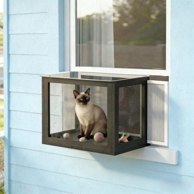 Maison pour animaux de compagnie, enclos extérieur pour chat, maison pour chat