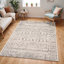 Oriental Area Rug-2119031432
