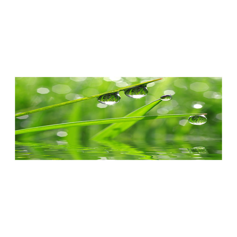 Drops on Canvas the Grass 1 Piece Wrapped Canvas Wall Art