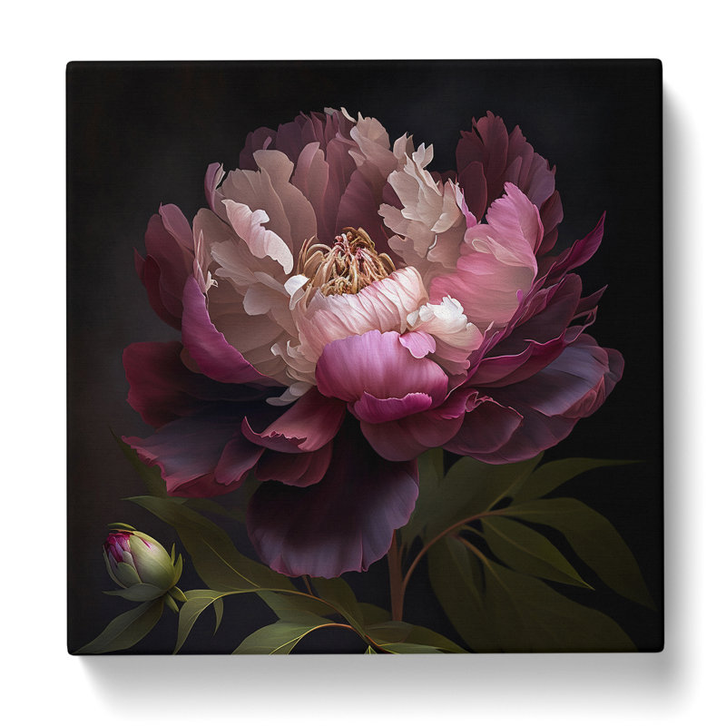 Peony Flower - No Frame Print, 35cm H x 35cm W x 3cm D