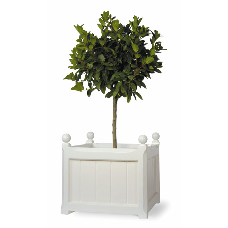 Pendle Fiberglass Window Box Planter, White, 89cm H x 100cm W x 100cm D