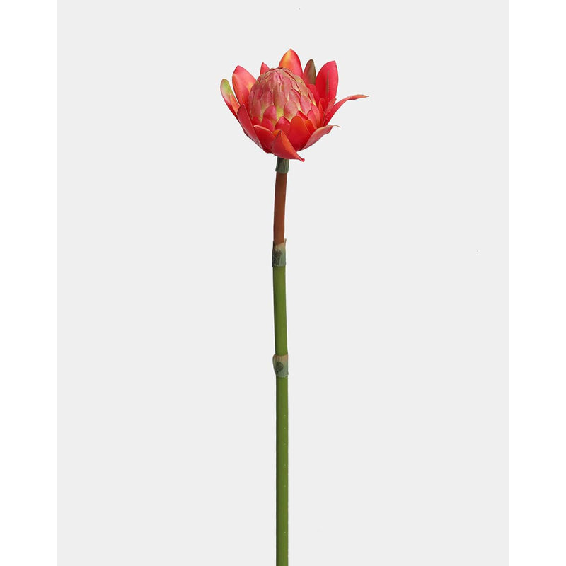 Faux 16,5 po Waratah Protea, Red Orange, 16.5" H x 5" W