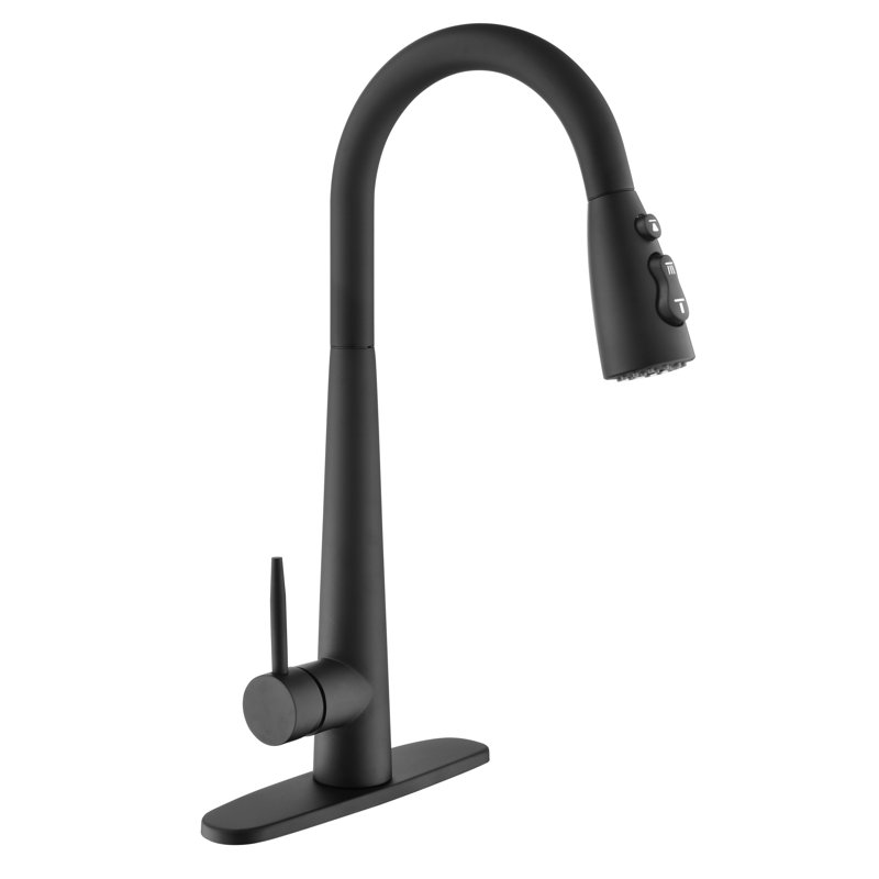 Robinet rétractable à poignée simple avec accessoires, Noir mat