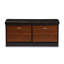 Armoire de rangement pour chaussures 10 paires