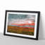 Meadow in South Africa - Picture Frame Graphic Art-62753377-62753374