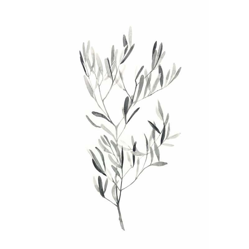 Paynes Grey Botanicals IV - Wrapped Canvas Print, 46cm H x 30cm W x 3.8cm D