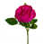 Cerise est en rupture de stock