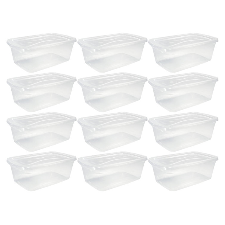 https://assets.wfcdn.com/im/53258000/resize-h755-w755%5Ecompr-r85/2188/218842444/6+qt+Plastic+Storage+Tote+Set.jpg