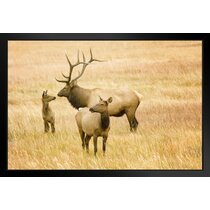 Faux Taxidermy Deer Antler Wall Décor